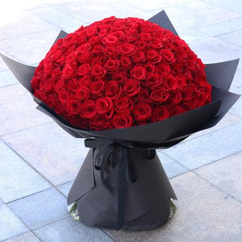 What Are the Benefits of Rose Flowers? Discover Why Roses Are the World's Favorite Bloom