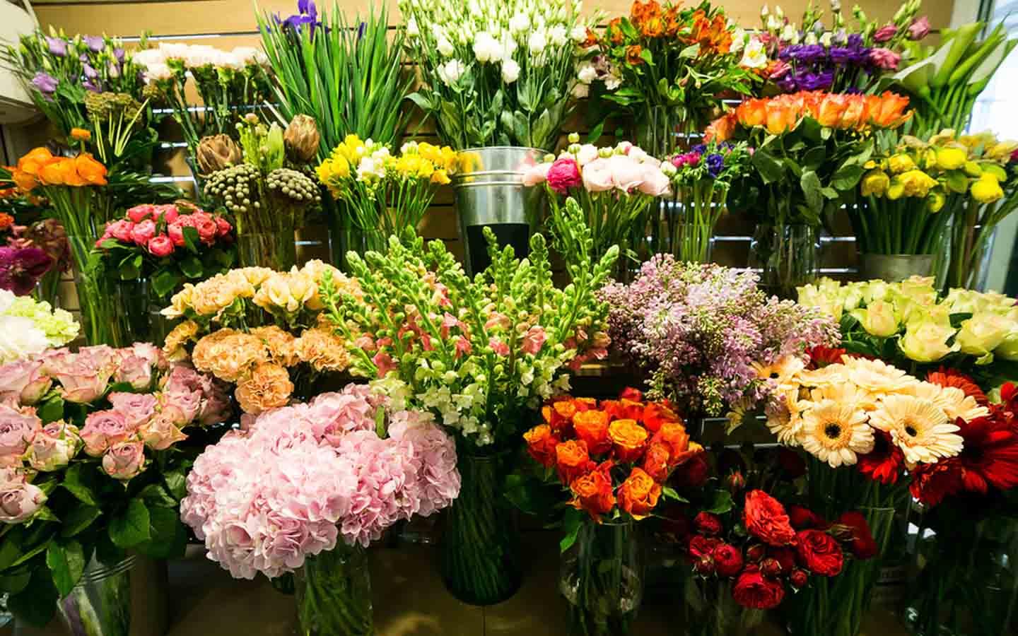 How Many Names Are There for Flowers? Exploring the Beautiful World of Floral Diversity